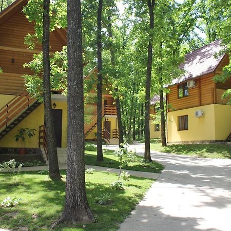 Готель Вілія Ломачинці Екстер'єр фото